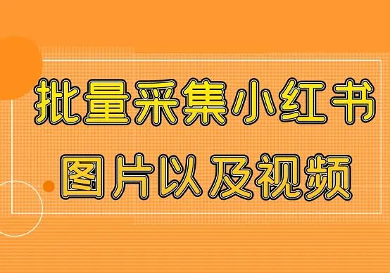 怎么快速采集小红书上的笔记图片以及视频内容插图