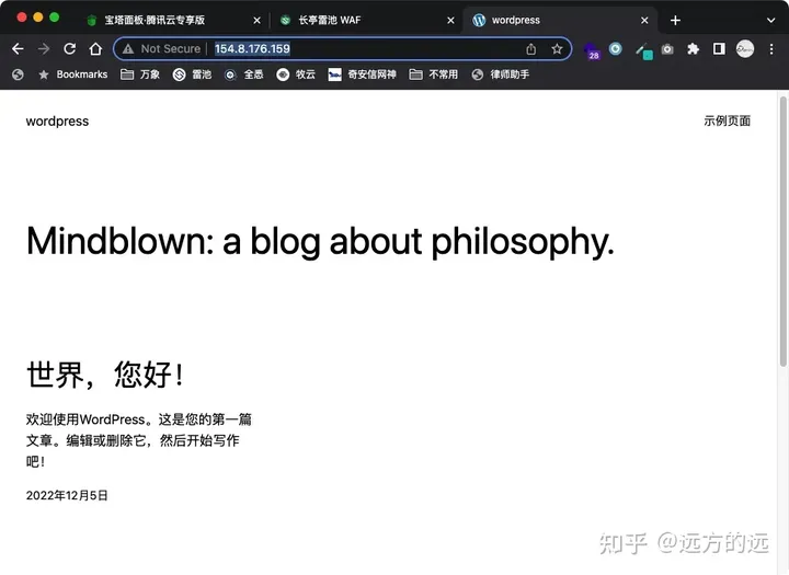 如何在宝塔（bt）下搭建 wordpress 网站 + 免费 waf 防火墙插图16