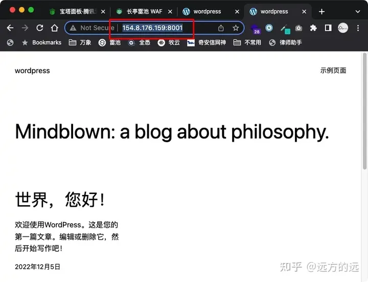 如何在宝塔（bt）下搭建 wordpress 网站 + 免费 waf 防火墙插图20