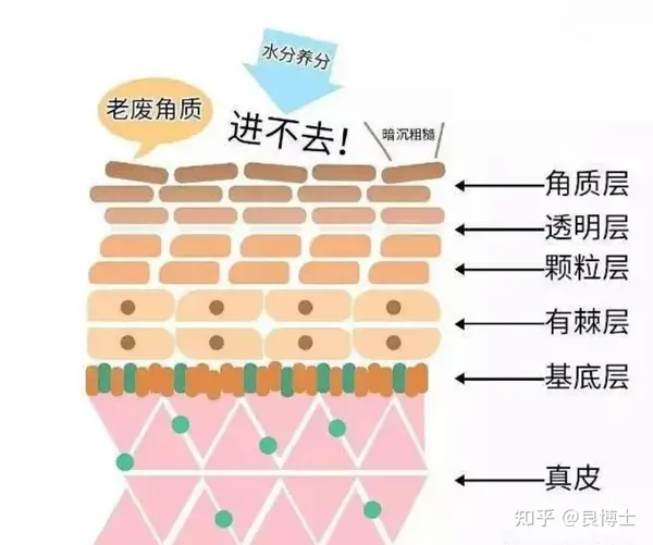 【2024沐浴露天花板系列】这8款沐浴露好用到飞起，控油、祛痘、提亮、留香各种满足！插图3