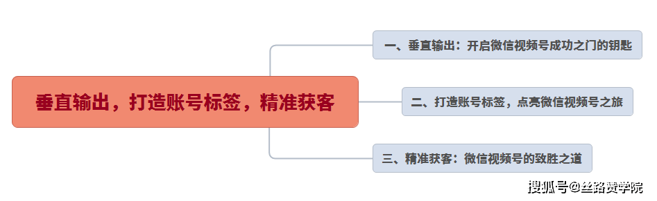 垂直输出，打造账号标签，精准获客 插图1