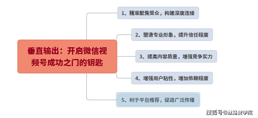 垂直输出，打造账号标签，精准获客 插图2