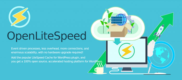 OpenLiteSpeed和LiteSpeed Cache插件提升网站速度插图2