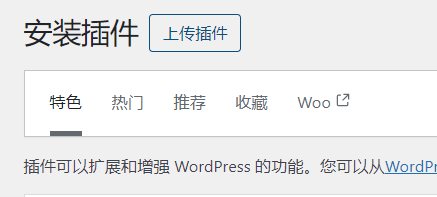 使用WP Rocket插件优化WordPress网站性能的详细指南插图2