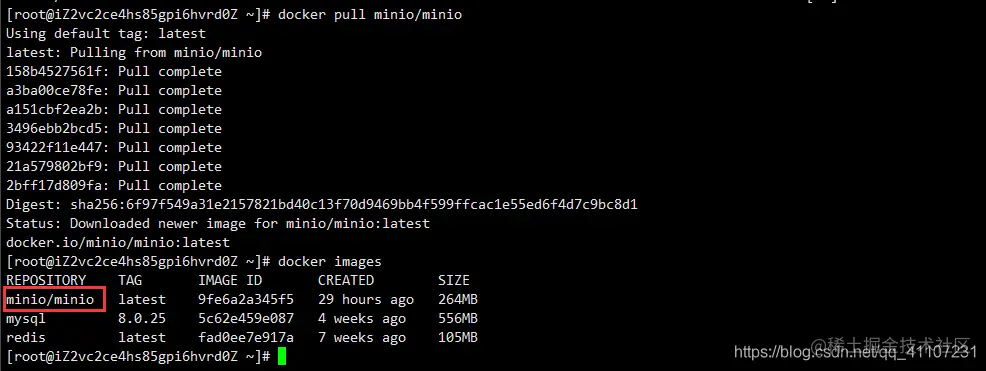 全网最细Docker安装Minio，填满最新版大坑（强烈推荐收藏）插图2