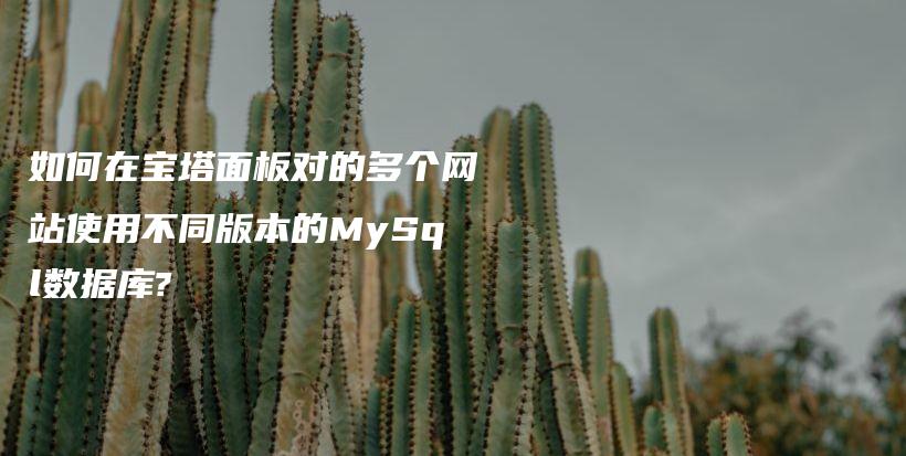 如何在宝塔面板对的多个网站使用不同版本的MySql数据库?插图