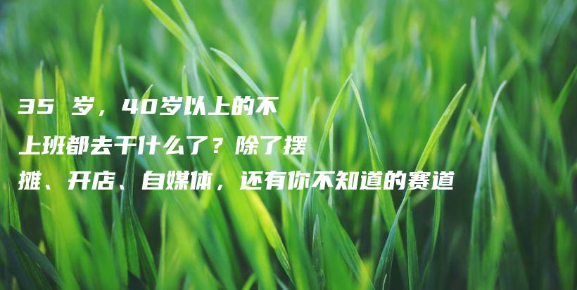 35 岁，40岁以上的不上班都去干什么了？除了摆摊、开店、自媒体，还有你不知道的赛道插图