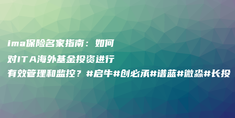 ima保险名家指南：如何对ITA海外基金投资进行有效管理和监控？#启牛#创必承#谱蓝#微淼#长投插图