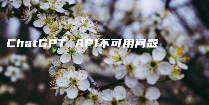 ChatGPT API不可用问题插图