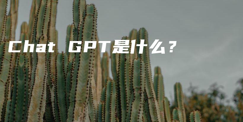 Chat GPT是什么？插图