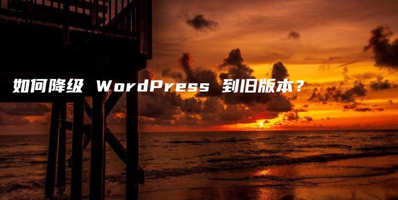 如何降级 WordPress 到旧版本？插图