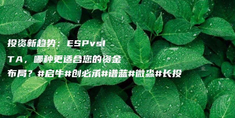 投资新趋势：ESPvsITA，哪种更适合您的资金布局？#启牛#创必承#谱蓝#微淼#长投插图