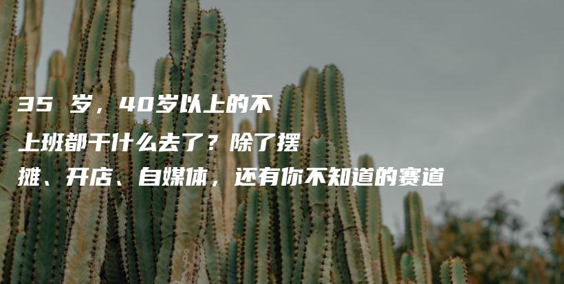 35 岁，40岁以上的不上班都干什么去了？除了摆摊、开店、自媒体，还有你不知道的赛道插图