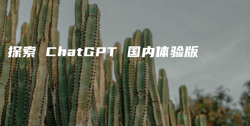 探索 ChatGPT 国内体验版插图