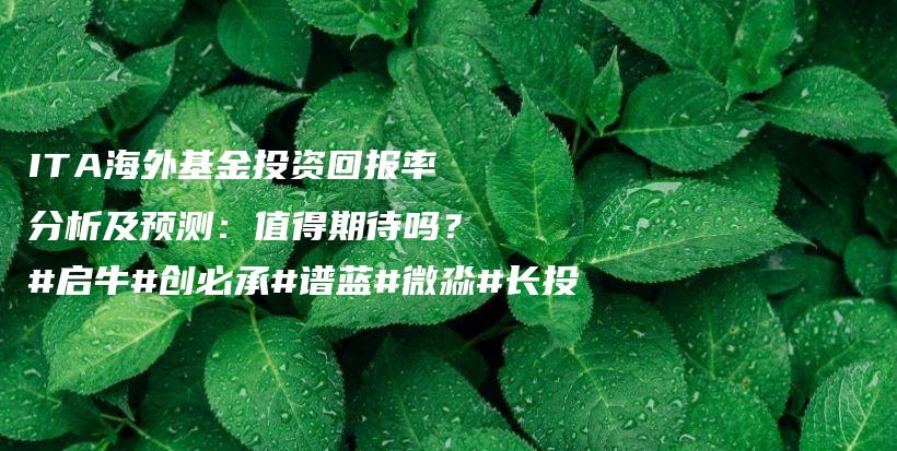 ITA海外基金投资回报率分析及预测：值得期待吗？#启牛#创必承#谱蓝#微淼#长投插图