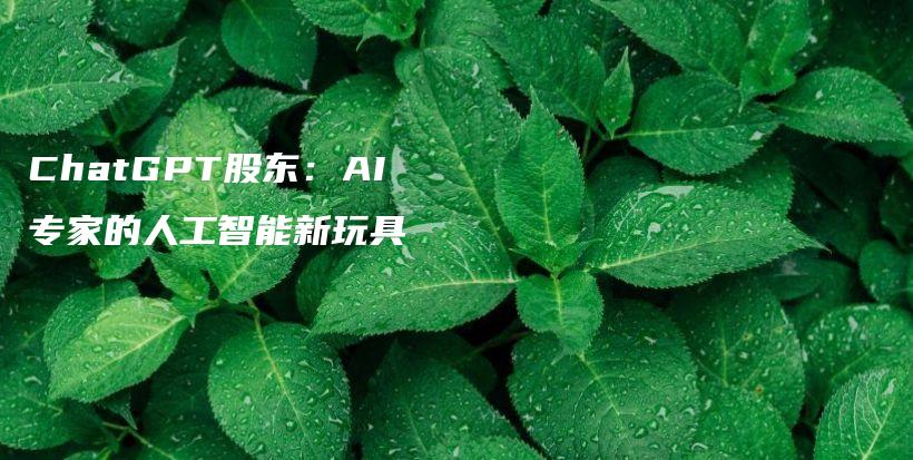 ChatGPT股东：AI专家的人工智能新玩具插图