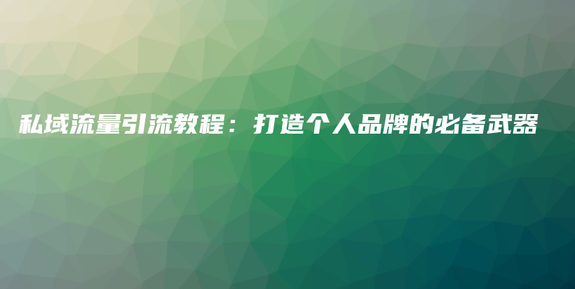 私域流量引流教程：打造个人品牌的必备武器插图