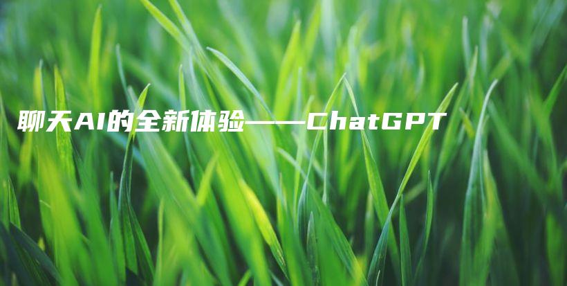 聊天AI的全新体验——ChatGPT插图