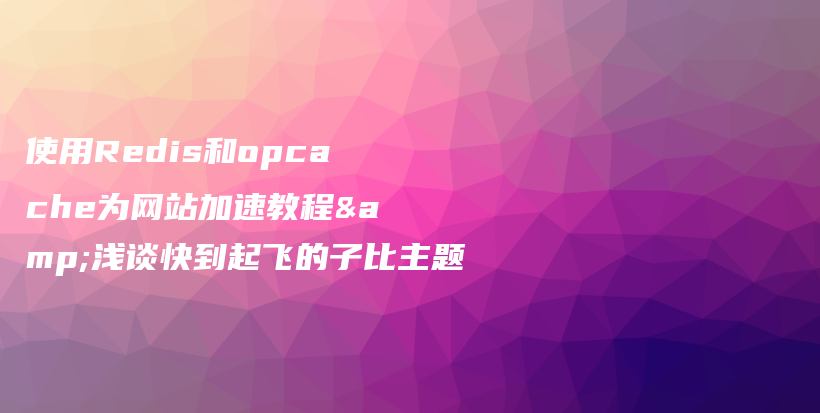 使用Redis和opcache为网站加速教程&浅谈快到起飞的子比主题插图