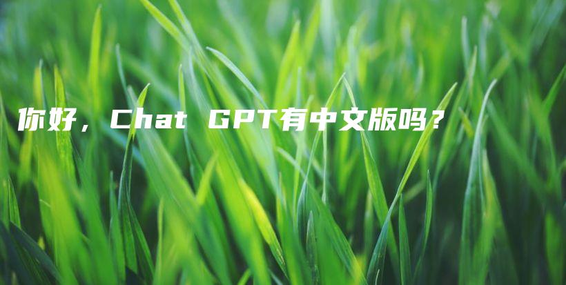 你好，Chat GPT有中文版吗？插图