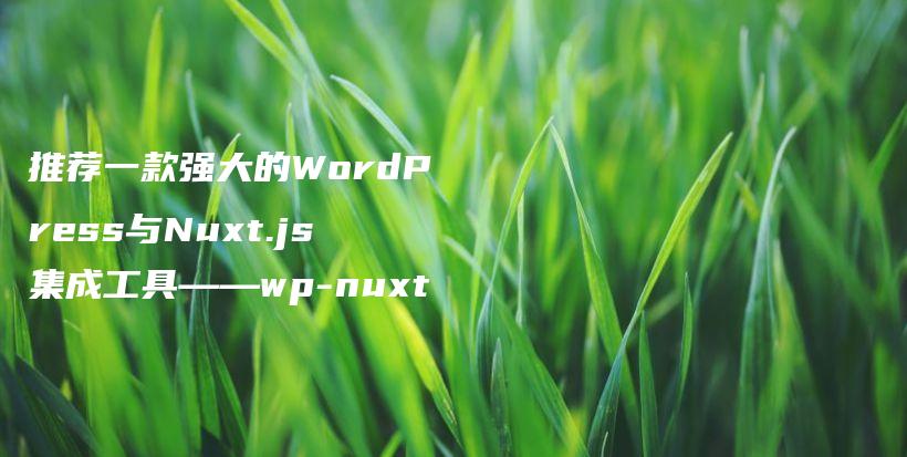 推荐一款强大的WordPress与Nuxt.js集成工具——wp-nuxt插图