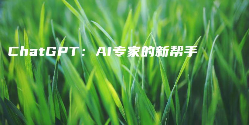 ChatGPT：AI专家的新帮手插图