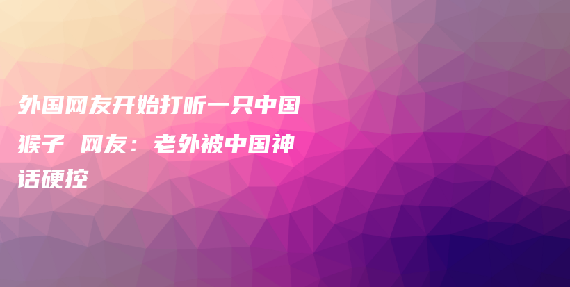 外国网友开始打听一只中国猴子 网友：老外被中国神话硬控插图