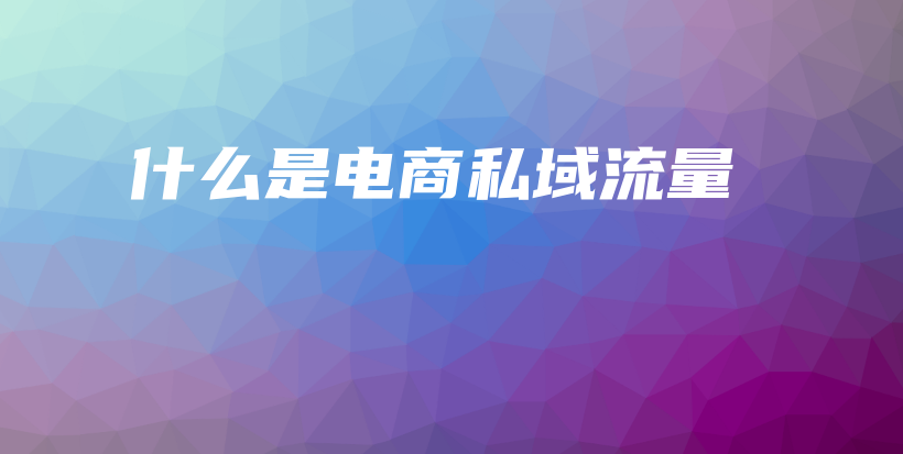 什么是电商私域流量插图