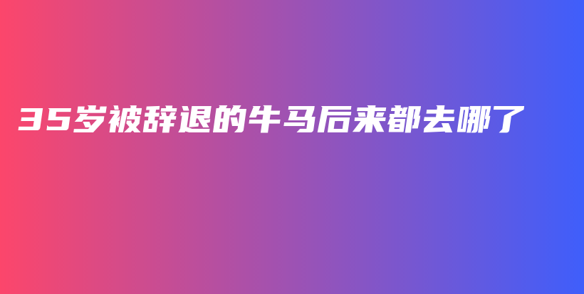 35岁被辞退的牛马后来都去哪了插图