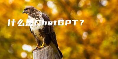 什么是ChatGPT？
