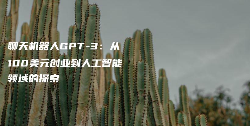 聊天机器人GPT-3：从100美元创业到人工智能领域的探索插图