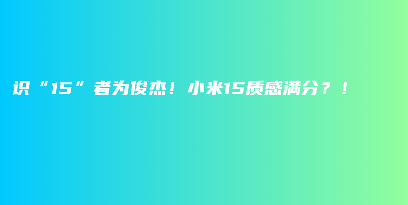 识“15”者为俊杰！小米15质感满分？！插图