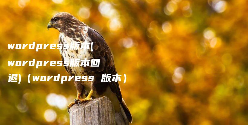 wordpress版本(wordpress版本回退)（wordpress 版本）插图