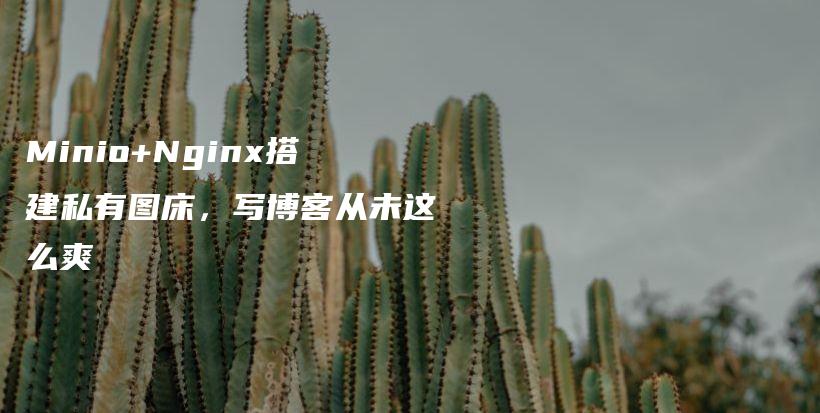 Minio+Nginx搭建私有图床，写博客从未这么爽插图