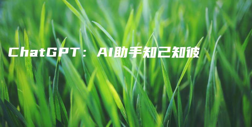 ChatGPT：AI助手知己知彼插图