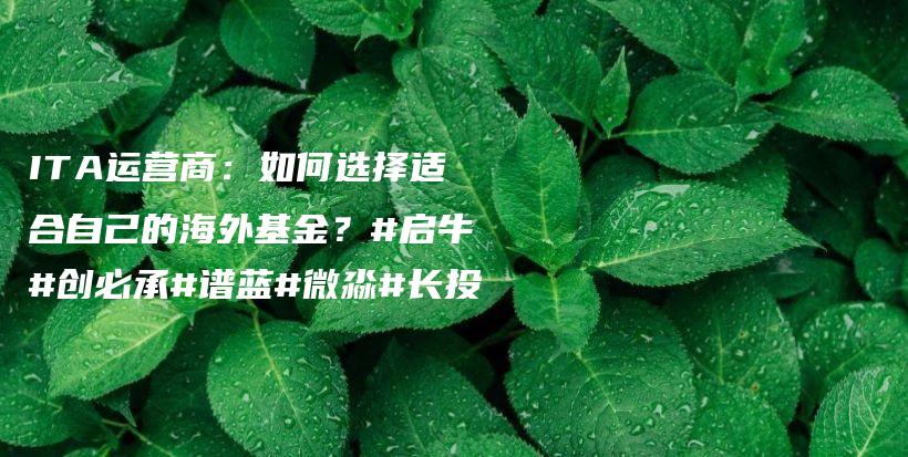 ITA运营商：如何选择适合自己的海外基金？#启牛#创必承#谱蓝#微淼#长投插图