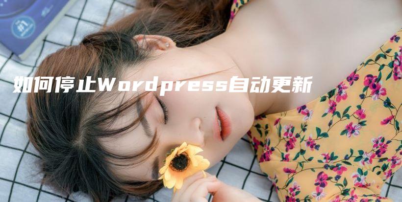 如何停止WordPress自动更新插图