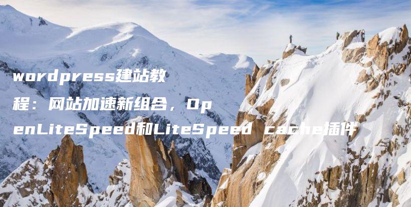 wordpress建站教程：网站加速新组合，OpenLiteSpeed和LiteSpeed cache插件插图