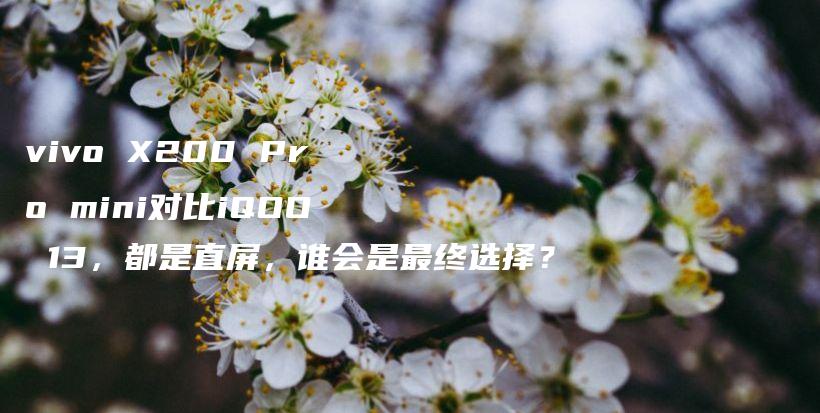 vivo X200 Pro mini对比iQOO 13，都是直屏，谁会是最终选择？插图