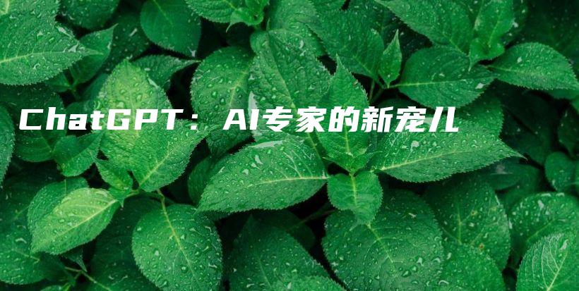 ChatGPT：AI专家的新宠儿插图