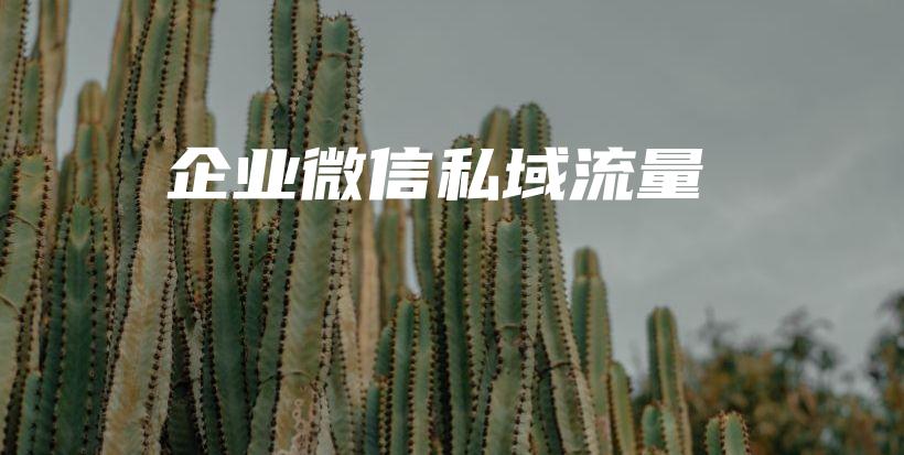 企业微信私域流量插图