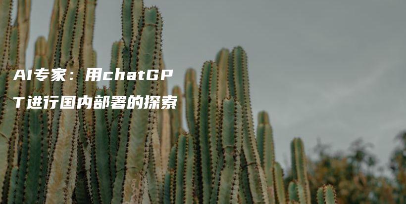 AI专家：用chatGPT进行国内部署的探索插图