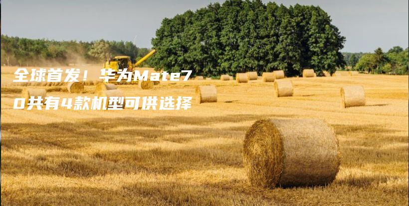 全球首发！华为Mate70共有4款机型可供选择插图