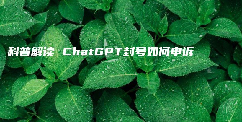 科普解读 ChatGPT封号如何申诉插图