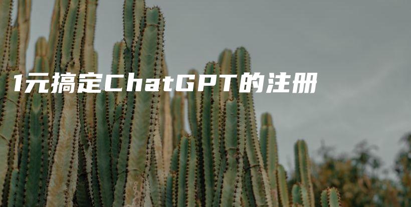 1元搞定ChatGPT的注册插图