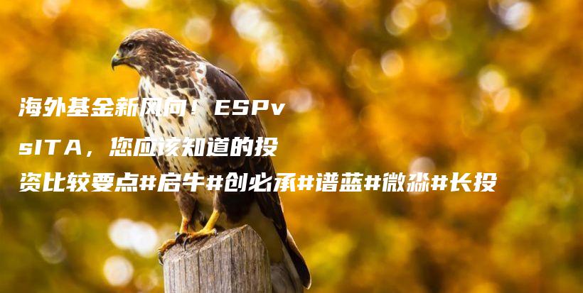 海外基金新风向！ESPvsITA，您应该知道的投资比较要点#启牛#创必承#谱蓝#微淼#长投插图