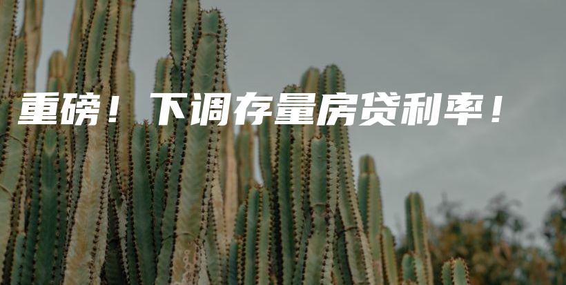 重磅！下调存量房贷利率！插图