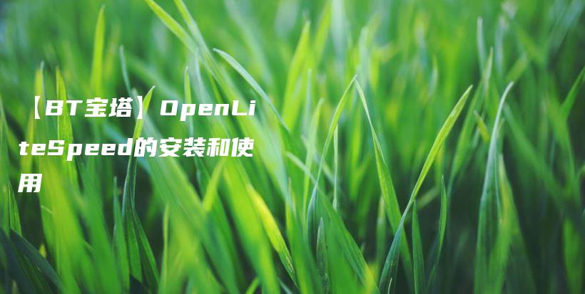 【BT宝塔】OpenLiteSpeed的安装和使用插图