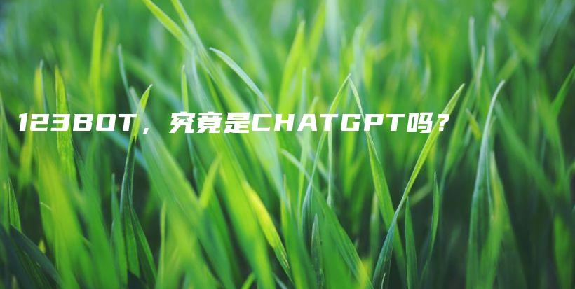 123BOT，究竟是CHATGPT吗？插图