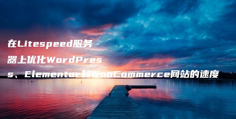 在Litespeed服务器上优化WordPress、Elementor和WooCommerce网站的速度插图